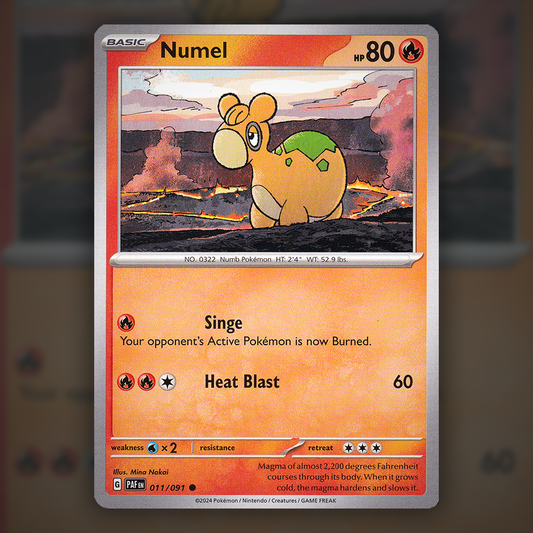 011/091 - Numel