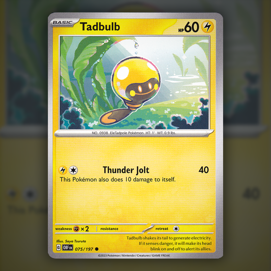 075/197 - Tadbulb