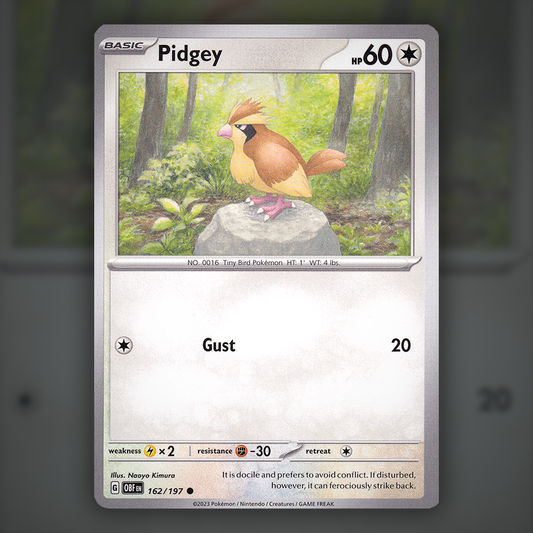 162/197 - Pidgey