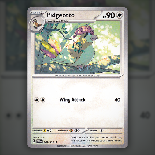 163/197 - Pidgeotto