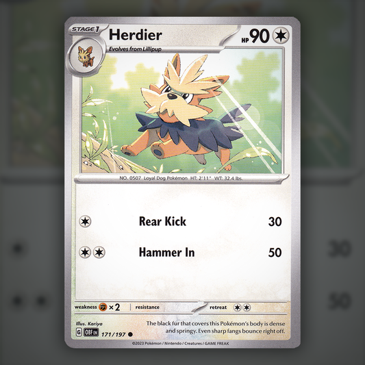 171/197 - Herdier