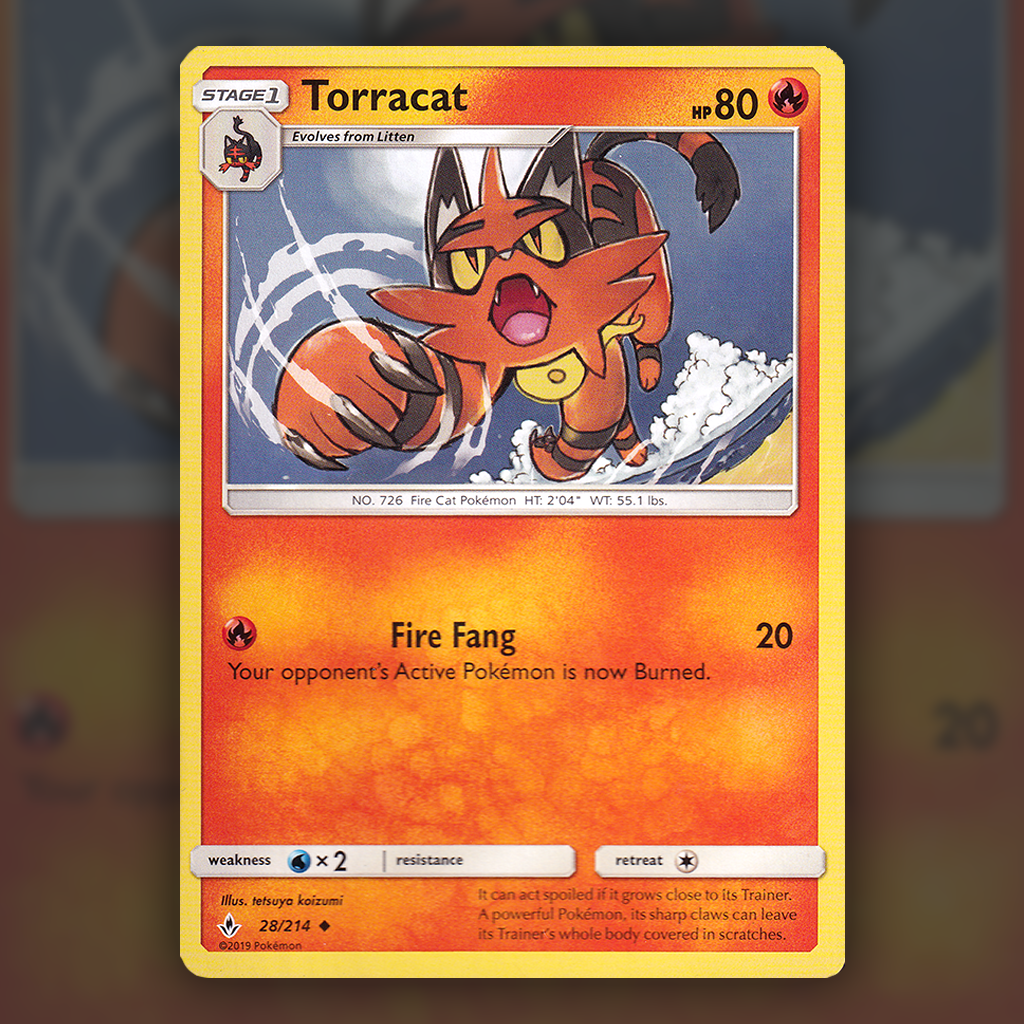 028/214 - Torracat