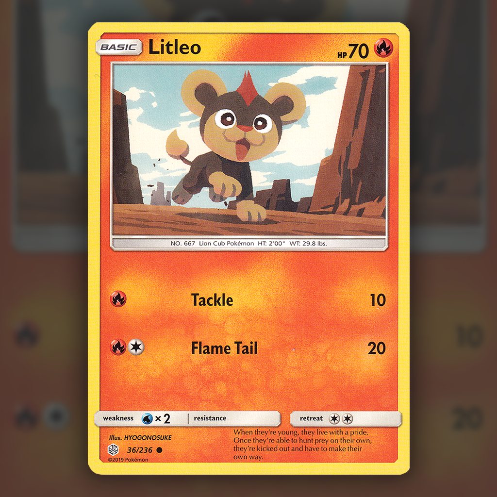 036/236 - Litleo